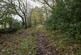 Additional image 14 of Haulton Wood (about 2 and three quarter acres), Bronington, Wrexham SY13