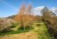 Additional image 21 of Shute, Axminster