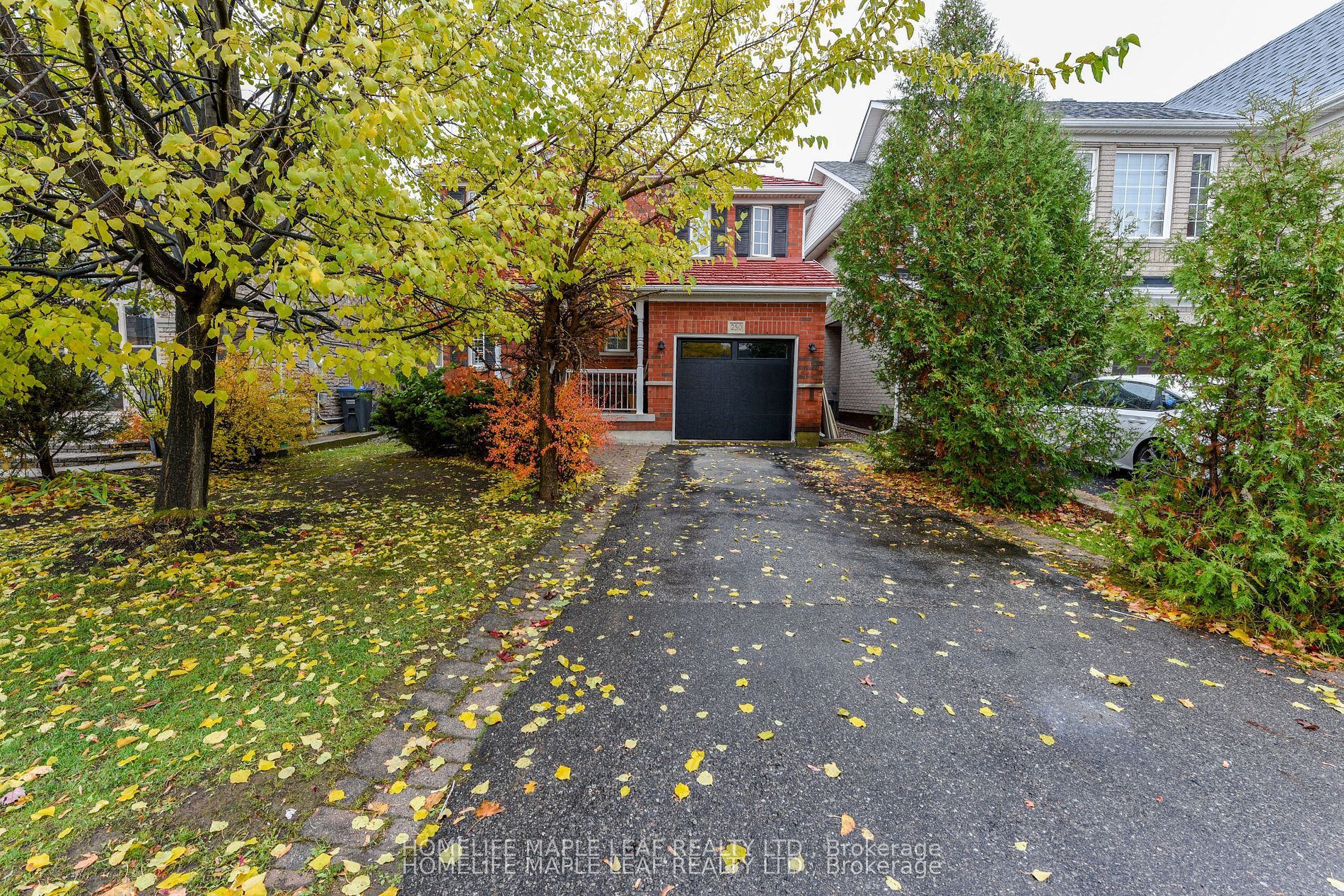 Additional image 5 of 250 Brisdale Drive, Brampton, ON, L7A 2T3