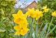 Additional image 11 of Eddington Lane, Herne Bay, Kent
