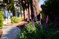 Additional image 62 of 111 Bean Creek Rd Unit 156, Scotts Valley, CA, 95066