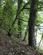 Additional image 10 of Coed Euryn (2 and three quarter acres), Mochdre, Colwyn Bay, Conwy LL28