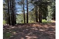 Additional image 20 of 7175 Redwood Retreat Rd, Gilroy, CA, 95020