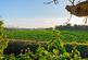 Additional image 16 of Lower Road, Teynham, ME9
