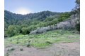 Additional image 7 of 7175 Redwood Retreat Rd, Gilroy, CA, 95020
