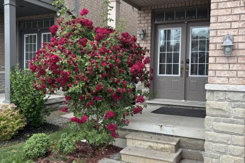 Additional image 8 of 7435 Saint Barbara Boulevard, Mississauga, ON, L5W 0G3