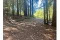 Additional image 27 of 7175 Redwood Retreat Rd, Gilroy, CA, 95020