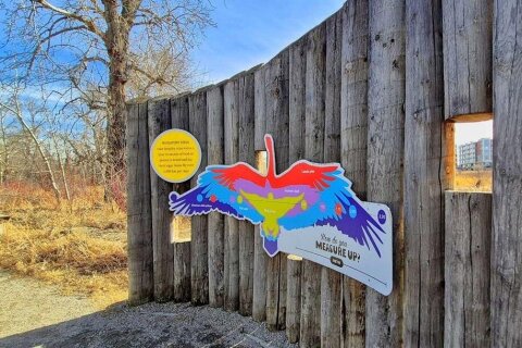 Additional image 7 of 121-63 Inglewood Park SE, Calgary, AB, T2G 1B7
