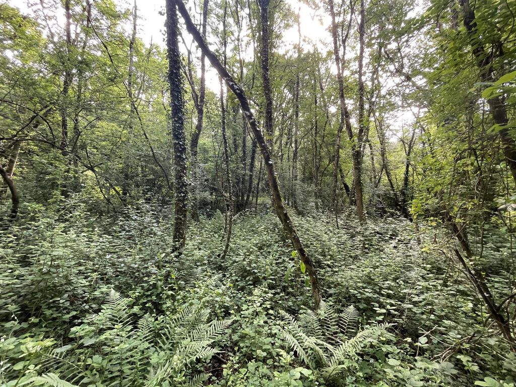 Additional image 6 of Land for saleLongburton, Sherborne, Dorset DT9