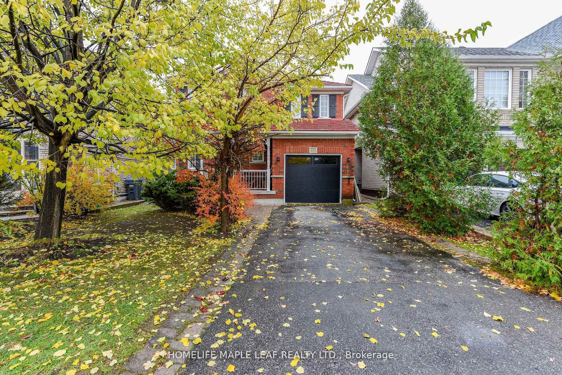 Additional image 4 of 250 Brisdale Drive, Brampton, ON, L7A 2T3