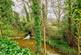 Additional image 36 of Beauchief Grove, Beauchief, Sheffield