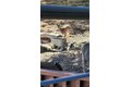 Additional image 52 of 5180 Lone Pine Cyn, Wrightwood, CA, 92397