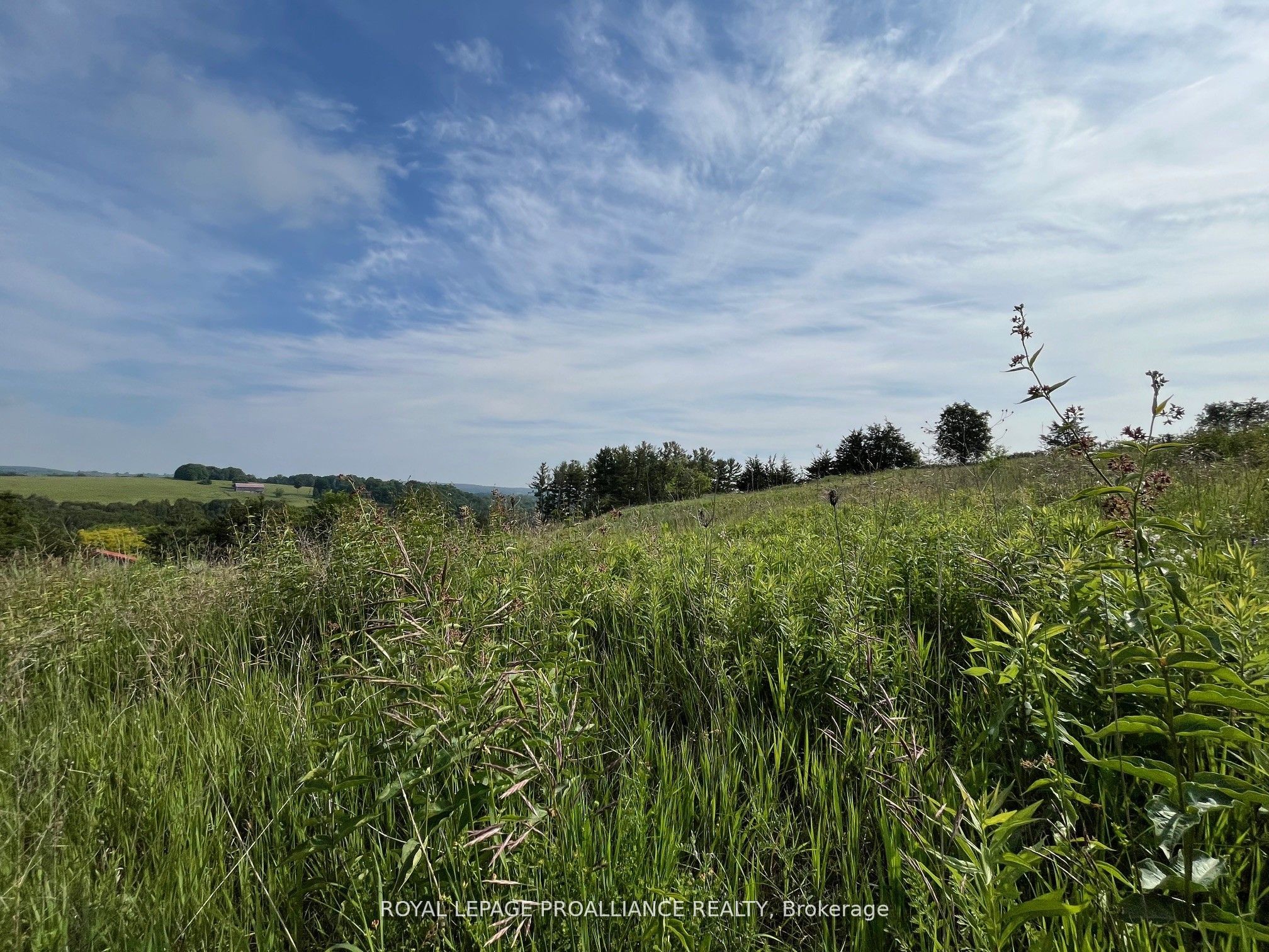 Additional image 6 of Lot 24 Mccarty Drive, Cobourg, ON, K9A 4J9