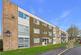 Lethe Grove, Colchester