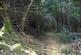 Additional image 11 of Coed Y Glog (over 4 acres), Llanfyllin, Powys SY22