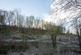 Additional image 20 of Coed Y Mwyn (just under 13 acres), Rhydymwyn, Mold, Flintshire CH7