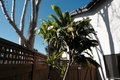 Additional image 26 of 6306 Caminito Del Cervato, San Diego, CA, 92111
