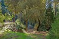 Additional image 49 of 1610 Swansboro Rd, Placerville, CA, 95667