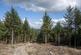 Additional image 13 of Coed Y Glog (over 4 acres), Llanfyllin, Powys SY22