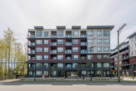Additional image 7 of E216-13858 108 Avenue, Surrey, BC, V3T 0T8