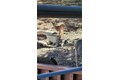 Additional image 44 of 5180 Lone Pine Cyn, Wrightwood, CA, 92397