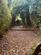 Additional image 18 of Ormskirk, Lancashire L39