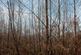 Additional image 17 of Haulton Wood (about 2 and three quarter acres), Bronington, Wrexham SY13