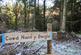 Additional image 6 of Coed Nant Y Beiglo (about 4 and a third acres), Llanfyllin, Powys SY22