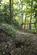 Additional image 7 of Coed Castell (Castle Wood) (3 and a quarter acres), Mochdre, Colwyn Bay, Conwy LL28