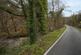 Additional image 6 of Coed Y Mwyn (just under 13 acres), Rhydymwyn, Mold, Flintshire CH7