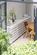 Additional image 7 of Westbourne Park Road, London, W11