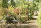 Additional image 20 of Durfold Wood, Plaistow, West Sussex