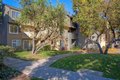 Additional image 3 of 300 Channing Way, San Rafael, CA, 94903