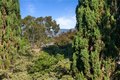 Additional image 25 of 2121 Ronda Granada Unit N, Laguna Woods, CA, 92637