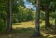 Additional image 20 of Shillinglee Park, Chiddingfold, GU8