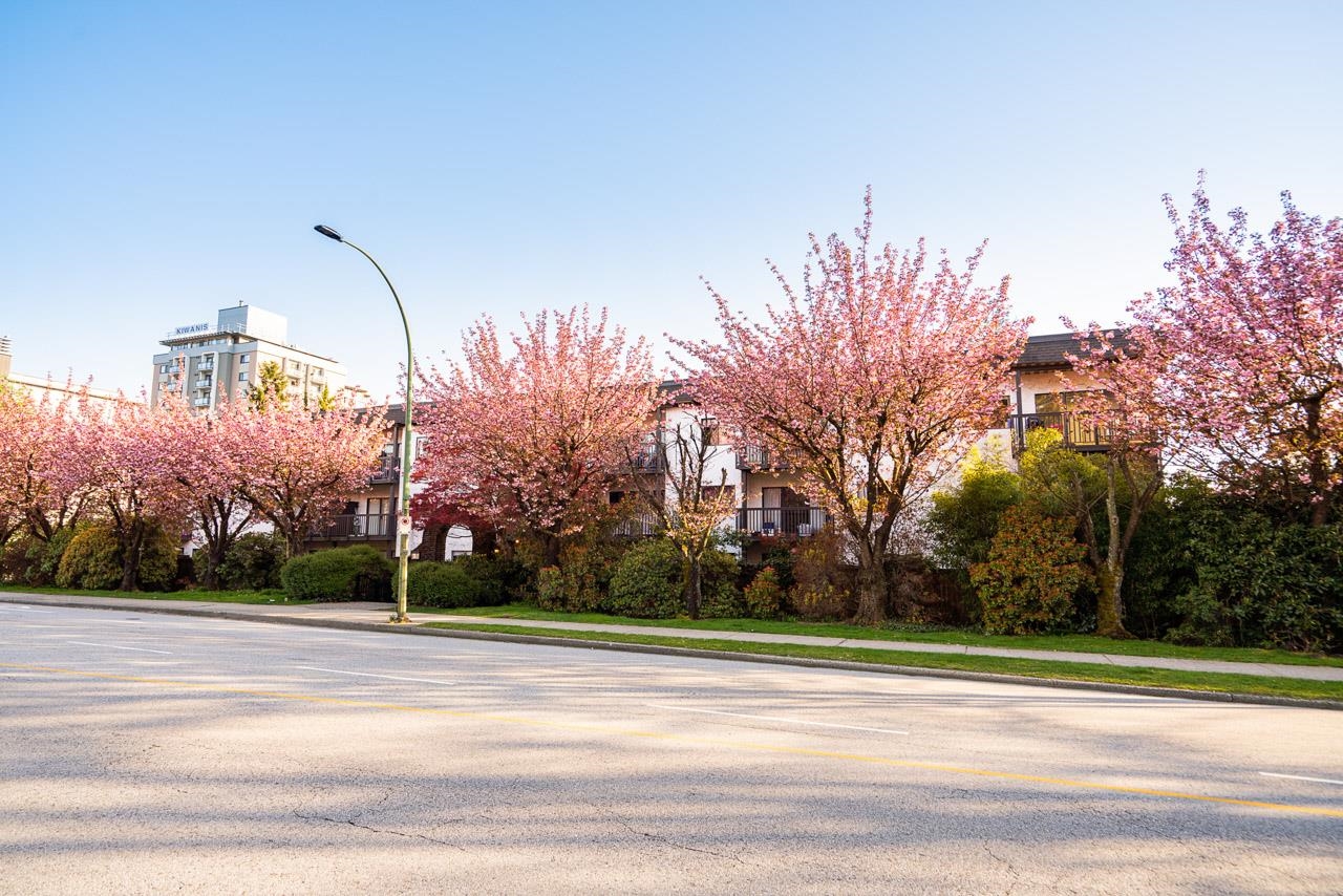 208-211 3rd Street W, North Vancouver, BC, V7M 1E9