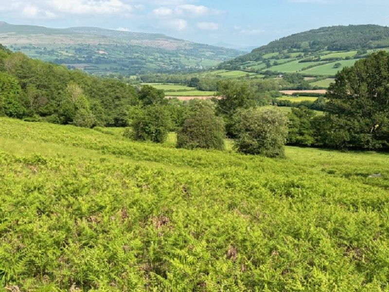 Land for saleBwlch, Brecon, Powys. LD3