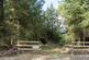 Additional image 14 of Coed Y Glog (over 4 acres), Llanfyllin, Powys SY22