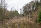 Additional image 10 of Coed Y Mwyn (just under 13 acres), Rhydymwyn, Mold, Flintshire CH7