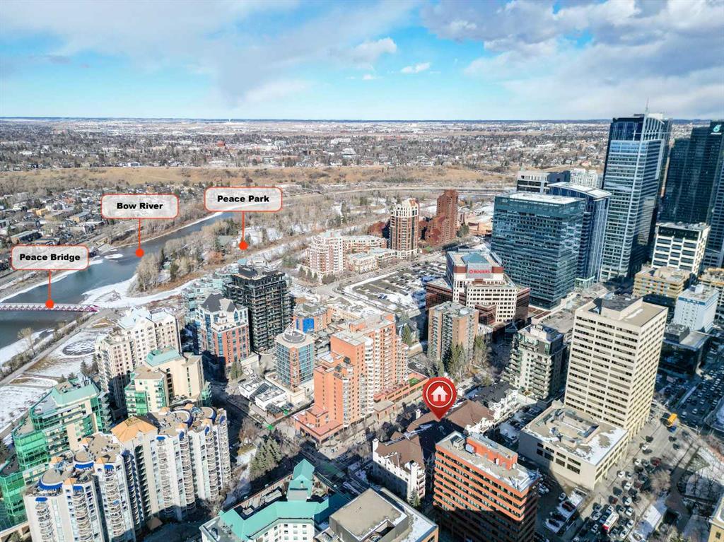 215-777 3 Avenue SW, Calgary, AB, T2P 0G8
