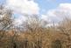 Additional image 6 of Wood Vale, London SE23