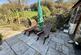 Additional image 33 of Llanbadarn Fawr SY23