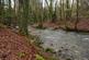 Additional image 12 of Coed Y Mwyn (just under 13 acres), Rhydymwyn, Mold, Flintshire CH7