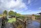 Additional image 20 of Ladderedge, Leek