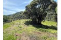 Additional image 16 of 7175 Redwood Retreat Rd, Gilroy, CA, 95020
