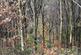 Additional image 2 of Coed Y Mwyn (just under 13 acres), Rhydymwyn, Mold, Flintshire CH7