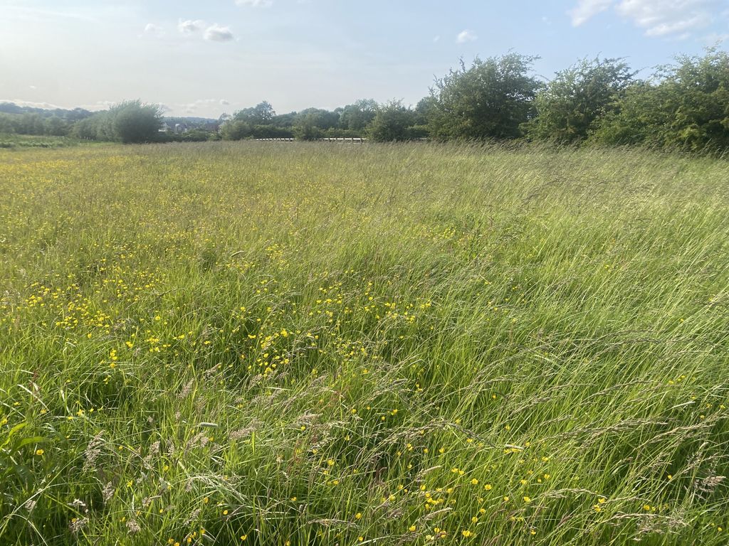 Additional image 6 of Land for saleMain Road, Lower Hartshay, Ripley, Derbyshire DE5