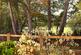 Additional image 27 of Ridgley Road, Godalming GU8