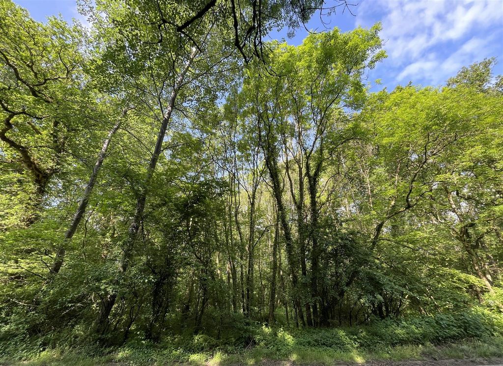 Land for saleLongburton, Sherborne, Dorset DT9