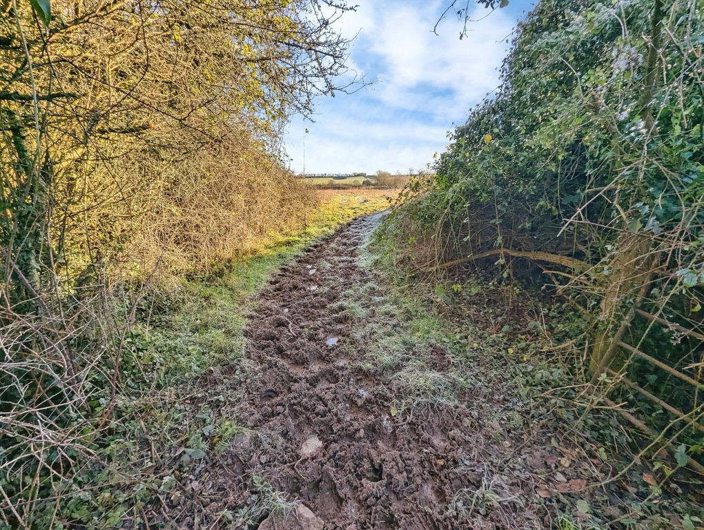 Additional image 42 of 4 bed country house for saleWernrheolydd, Usk NP15